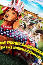 Un perro salchicha en las internacionales – 2015 – Online In Netflix