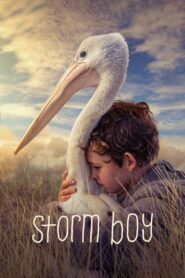 Storm Boy – 2019 – Online In Netflix