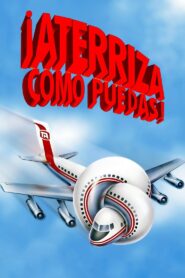 Y, ¿dónde está el piloto? – 1980 – Online In Netflix