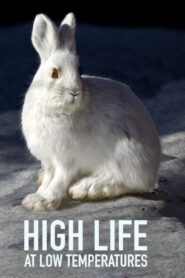 Lungau – Wildnis im Herzen der Tauern – 2017 – Online In Netflix