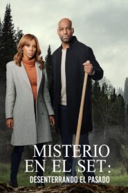 Morning Show Mysteries: Murder Ever After – 2021 – Online In Netflix