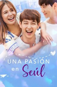 Una pasión en Seúl – 2017 – Online In Netflix