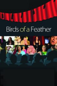 Birds of a Feather – 2011 – Online In Netflix