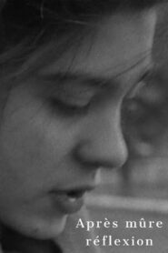 Après mûre réflexion – 2004 – Online In Netflix