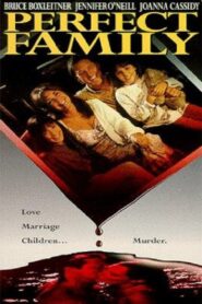 Perfect Family – 1992 – Online In Netflix