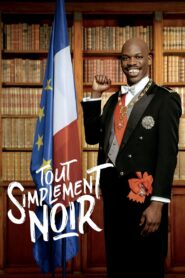 Tout simplement noir – 2020 – Online In Netflix