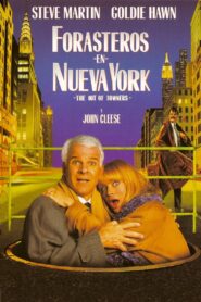 Perdidos en Nueva York – 1999 – Online In Netflix