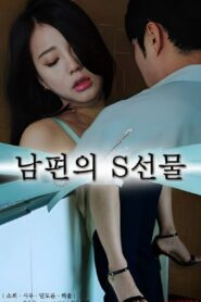 남편의 S선물 – 2023 – Online In Netflix