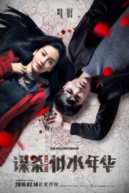 谋杀似水年华 – 2016 – Online In Netflix