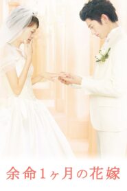 余命１ヶ月の花嫁 – 2009 – Online In Netflix