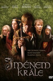 Jménem krále – 2009 – Online In Netflix