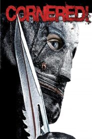 Cornered! – 2009 – Online In Netflix