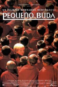 Little Buddha – 1993 – Online In Netflix