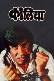कालिया – 1981 – Online In Netflix