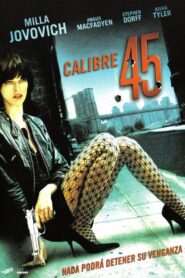 .45 – 2006 – Online In Netflix