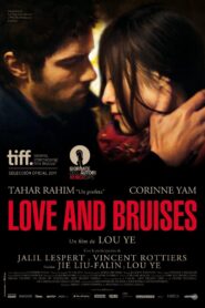 Love and Bruises – 2011 – Online In Netflix