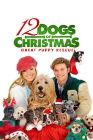 12 Dogs of Christmas: Great Puppy Rescue – 2012 – Online In Netflix