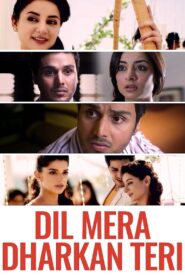 Dil Mera Dhadkan Teri – 2013 – Online In Netflix