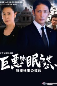 巨悪は眠らせない 特捜検事の標的 – 2017 – Online In Netflix