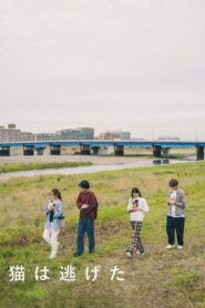 猫は逃げた – 2022 – Online In Netflix