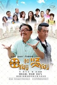 田教授和贤教授 – 2017 Online gratis free Netflix