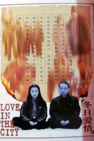 冬日爱情 – 1997 – Online In Netflix