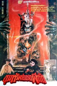 小俠龍捲風 – 1988 – Online In Netflix