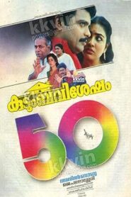 കുടുംബവിശേഷം – 1994 – Online In Netflix