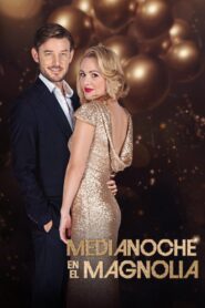 Medianoche en el Magnolia – 2020 – Online In Netflix