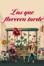 Late Bloomers – 2024 – Online In Netflix