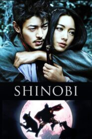 Shinobi: Corazón bajo la espada – 2005 – Online In Netflix