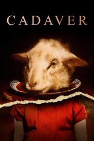 El Cadáver – 2020 – Online In Netflix