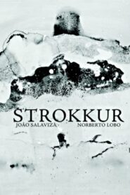 Strokkur – 2011 – Online In Netflix