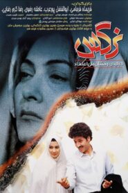نرگس – 1992 – Online In Netflix