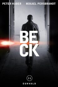Beck 31 – Gunvald – 2016 – Online In Netflix