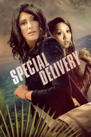 Special Delivery – 2008 – Online In Netflix