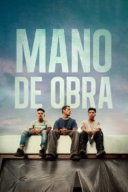 Mano de obra – 2020 – Online In Netflix