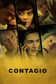 Contagio – 2011 – Online In Netflix