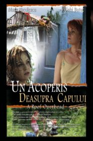 Un acoperiș deasupra capului – 2006 – Online In Netflix