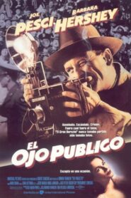 The Public Eye – 1992 – Online In Netflix
