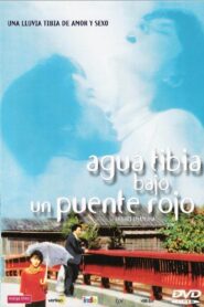 赤い橋の下のぬるい水 – 2001 – Online In Netflix