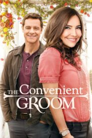 The Convenient Groom – 2016 – Online In Netflix