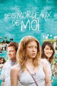 Des morceaux de moi – 2013 – Online In Netflix