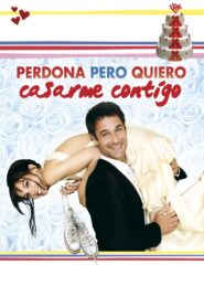 Scusa ma ti voglio sposare – 2010 – Online In Netflix