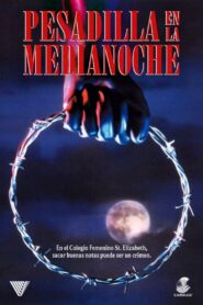 Bloodmoon – 1990 – Online In Netflix