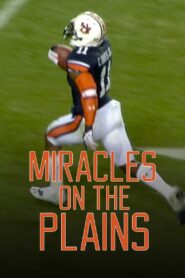 Miracles on the Plains – 2015 – Online In Netflix