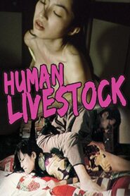 遊び妻　昼下がりの快楽 – 1999 – Online In Netflix
