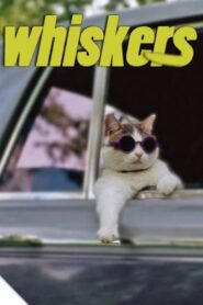 Whiskers – 1997 – Online In Netflix