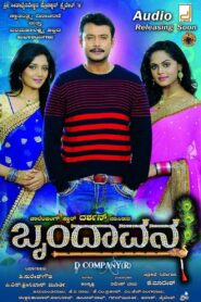 Brindavana – 2013 – Online In Netflix