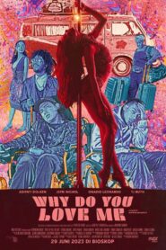 Why Do You Love Me – 2023 – Online In Netflix